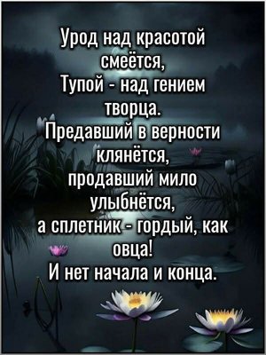 FB_IMG_1771750188811.jpg