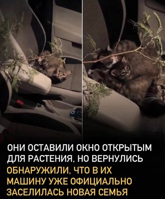 FB_IMG_1774201732011.jpg
