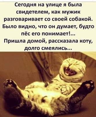 FB_IMG_1774965726293.jpg