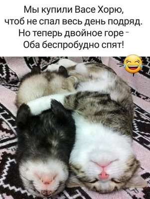 FB_IMG_1774980969483.jpg