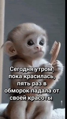 FB_IMG_1774979995342.jpg