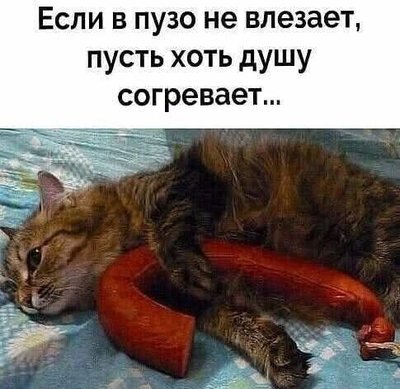 FB_IMG_1775125778551.jpg