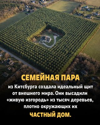 FB_IMG_1775300812183.jpg