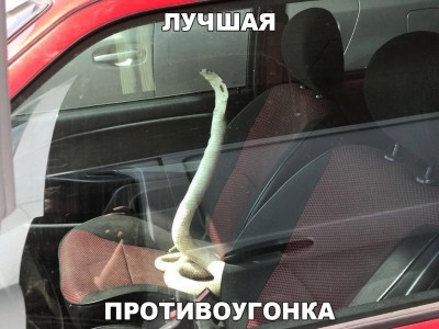 Nv9ZZLYZkDU.jpg
