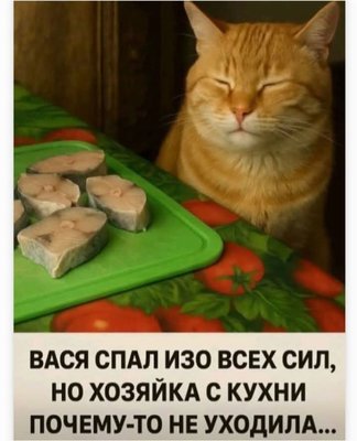 FB_IMG_1774899331899.jpg
