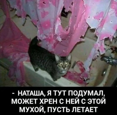 FB_IMG_1776573273378.jpg