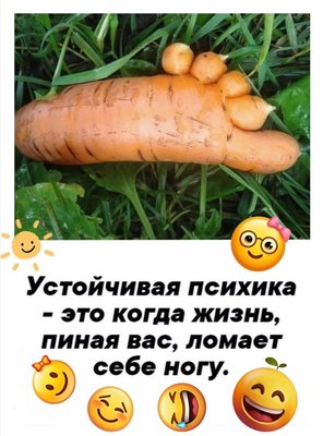 FB_IMG_1775120864355.jpg