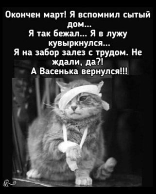 FB_IMG_1775063405914.jpg