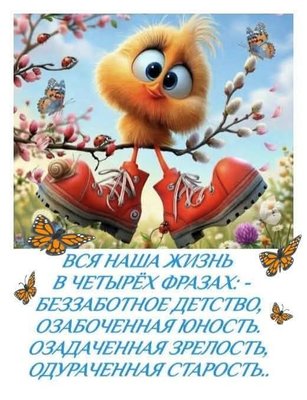 FB_IMG_1776837412525.jpg