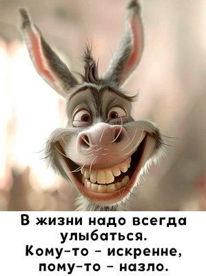 FB_IMG_1775109878582.jpg