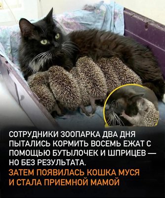 FB_IMG_1777438875402.jpg