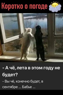 FB_IMG_1777648065046.jpg