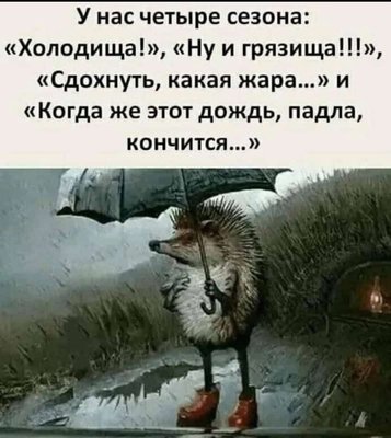 FB_IMG_1777441533804.jpg