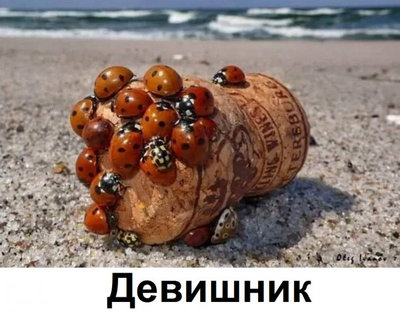 девичник.jpg
