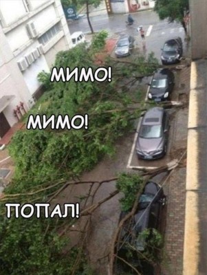 yjNtV5ZZ6Zc.jpg
