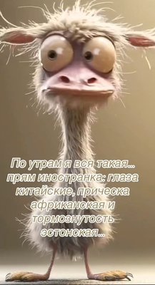 FB_IMG_1766242511699.jpg