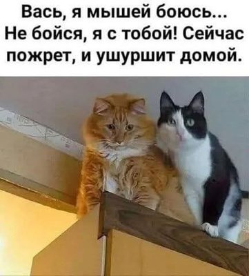 FB_IMG_1779726494739.jpg