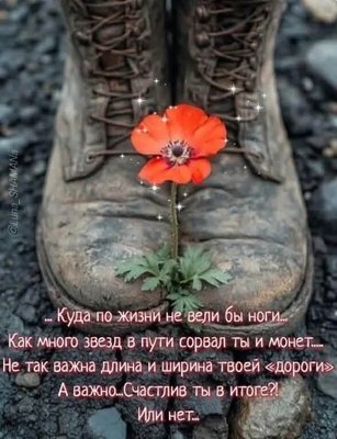 FB_IMG_1780426142566.jpg