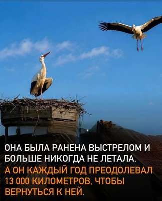 FB_IMG_1781375778530.jpg