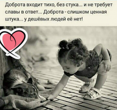 gplus-953539176.png