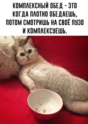 FB_IMG_1784923921367.jpg