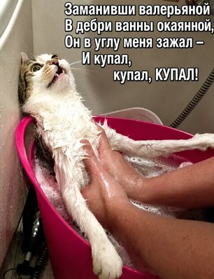 FB_IMG_1784835154589.jpg