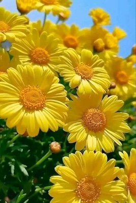 QcObjrWmfl_ZxYooc4T9gGCnt28adDDR8c_9_7NoSB90BL6iB2aGB7lGM940-aTBRHnWFiBW03EK8u_bqFqTmBBt.jpg