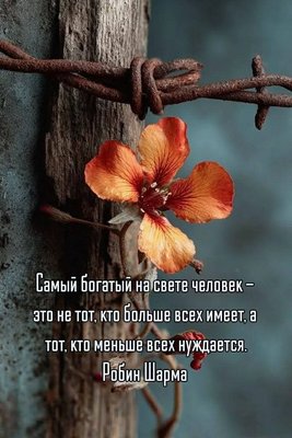 FB_IMG_1785790354969.jpg