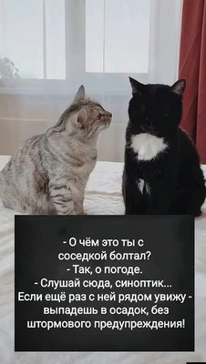 FB_IMG_1784146716823.jpg