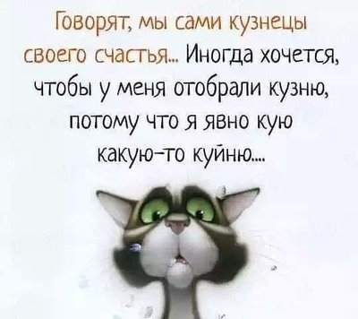 FB_IMG_1730022026145.jpg
