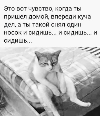 FB_IMG_1789755965682.jpg