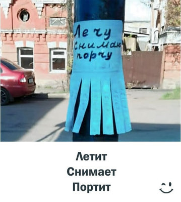 лечу юмор.jpg