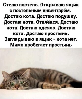 FB_IMG_1788806267573.jpg