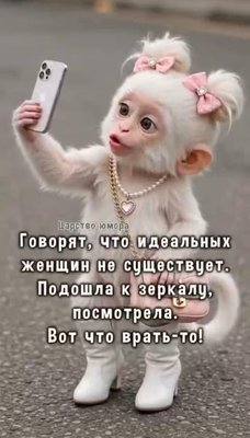 FB_IMG_1790959054396.jpg