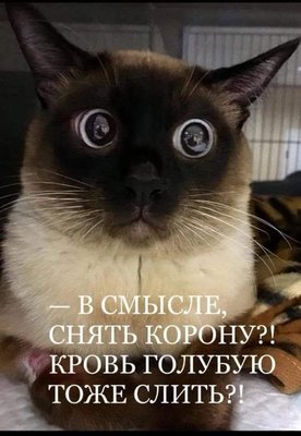 FB_IMG_1787430471040.jpg