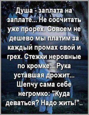 FB_IMG_1782945440843.jpg
