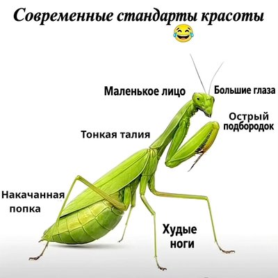 FB_IMG_1792341138970.jpg