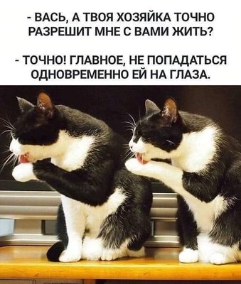 FB_IMG_1784356390523.jpg