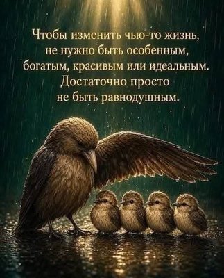FB_IMG_1792357370600.jpg (75.78 KiB) Просмотров: 124 FB_IMG_1792357370600.jpg