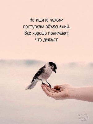 FB_IMG_1788019833362.jpg