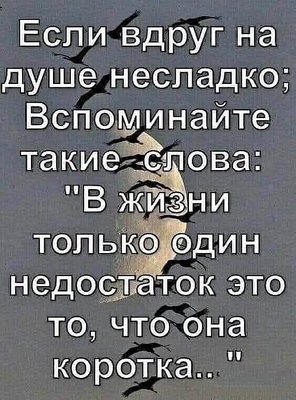 FB_IMG_1792526974384.jpg (48.04 KiB) Просмотров: 37 FB_IMG_1792526974384.jpg
