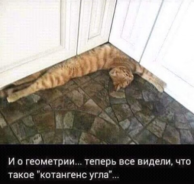 gplus1512581228.jpg