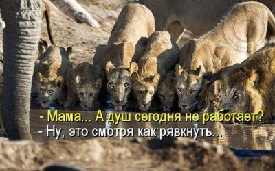 SsaizNyw-G0.jpg