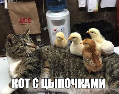 WuwDD8wQ_VI.jpg