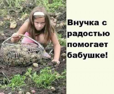 IMG_20181002_105503.jpg