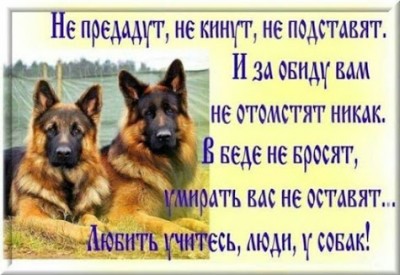 bed36a4447d471329cf4d25c3b9f6613.jpg