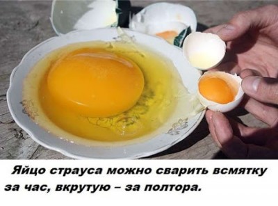 1540934008_fakti_20.jpg