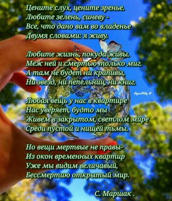 gplus-1831201490.jpg