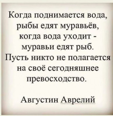 c7b6c64c739a570129c679a6314a5044.jpg