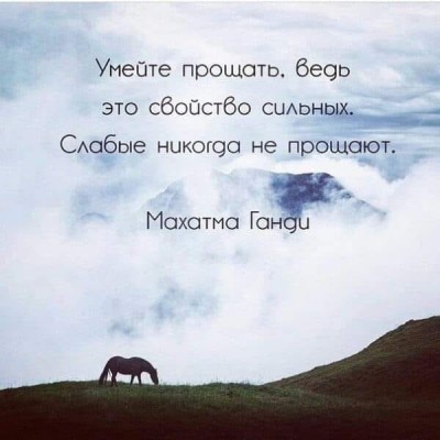 6hsjQI0SYK0.jpg